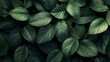 © Fomo Creative - Lush Green Leaves Close-Up Texture