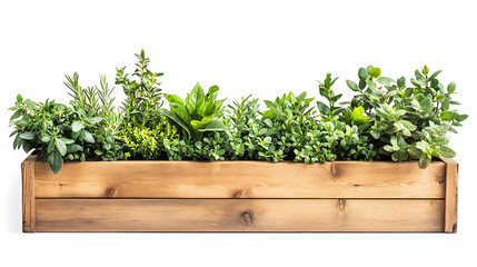 Aufkleber - Wooden planter box with lush green plants on white background