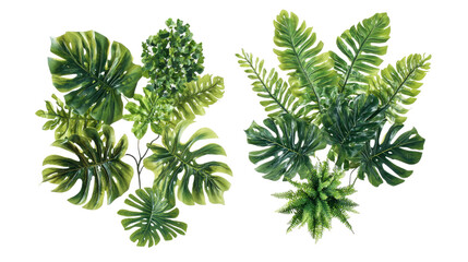 Poster - jungle foliage and plants on transparent background generative ai