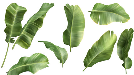 Poster - Coconut Tree Leaves Pattern on White Background Generative AI