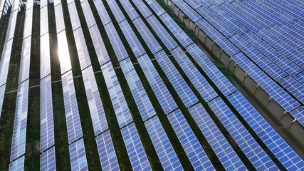 solar panel array