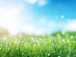 © MDRobiul - Abstract Bokeh Background Featuring Green Grass and Blue Sky for World Environment Day