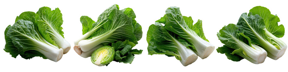 Fresh lettuce heads, vibrant green, white isolate background.