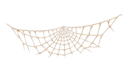 A delicate spider web glistens against a transparent background, showcasing intricate patterns and a natural elegance.