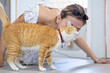 © Akarawut - Cat owner is kissing and hugging her ginger cat with love and care after rescuing him from the pet shelter for sitter boarding service and life long companion partner concept