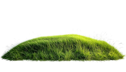 green grass landscape isolated on white background