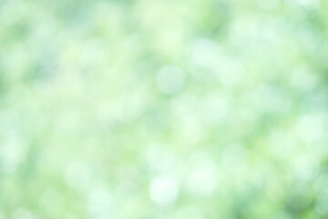 Wall Mural - Soft focus Green Pastel Abstract bokeh background Glittering aesthetic textured pattern