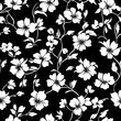 © IrisFocus - Elegant white floral pattern on a black background.