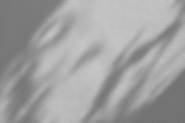 Wall Mural - leaves shadow on white stucco wall background.