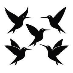 Set of hummingbird animal vector design on white background