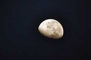 moon in the night
