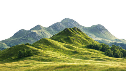 lush green hills rise majestically under clear sky, showcasing beauty of nature. rolling landscape i
