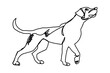 © Jiasmin - Dog one line art vector design