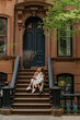 © vimpro - Couple sitting on steps of brownstone building, enjoying each others company