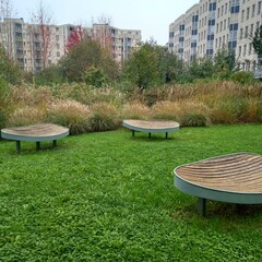 Wall Mural - wooden bench in the park