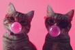 © Maxim Borbut - Two cats blow bubble gum and wear sunglasses in this adorable portrait