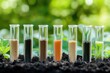 © Vii - Microscopic view of soil samples in test tubes, featuring various plants and microorganisms