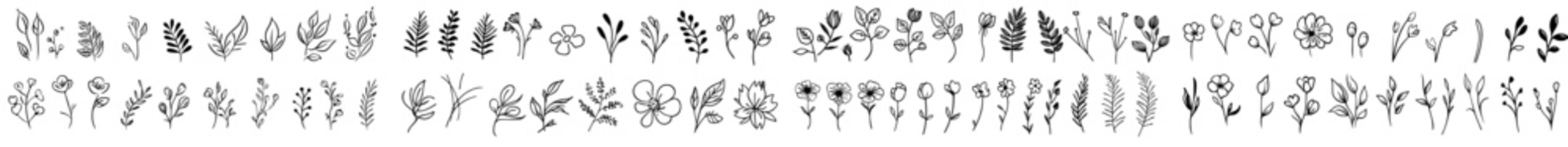 Wall Mural - The Flower Collection is a line art collection depicting wild and garden plants, branches, leaves, flowers, herbs and can be used for logos, tattoos, invitations, save the dates, and other cards or