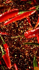Poster - Super Slow Motion of Flying Colored Chilli Peppers. Black Background. Filmed on High Speed Cinema Camera, 1000 fps. Vertical Aspect Ratio.