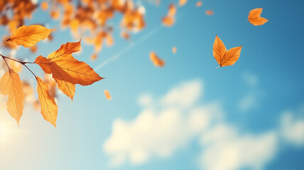 Wall Mural - autumn leaf fall, falling leaves on the background of a light blue autumn sky, yellow and red leaves