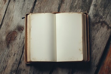 Vintage Blank Book with Text