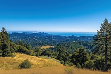 A beautiful view of a forest with a blue ocean in the background