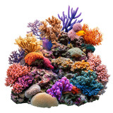 Diverse marine life in coral reef ecosystem