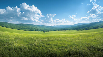 Wall Mural - vast panorama of lush green grassland in russia showcasing the beauty of nature's tranquility