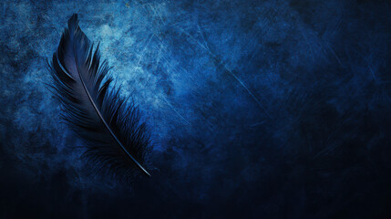 Poster - a delicate black feather rests against a rich blue textured background, creating a striking visual c