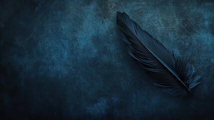 Poster - a delicate black feather rests against a rich blue textured background, creating a striking visual c