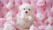 © 69 - Adorable Puppy in Teacup Surrounded by Cotton Candy