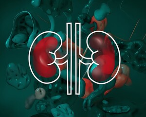 Healthy kidneys symbol with abstract medical background