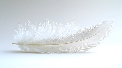 Poster - Close-up photograph of a soft,fluffy white feather in a minimalist,tranquil studio setting. The feather is delicately lit,creating a sense of purity and elegance with a clean,serene aesthetic.