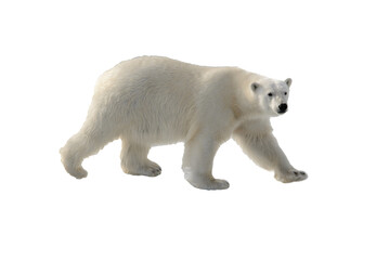 Wall Mural - standing, environment, safe, no people, svalbard, polar bear, white background, weather, warm, colla