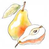 Gruszka ilustracja