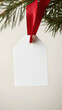 © Jirawatfoto - blank gift tag with red ribbon hanging from pine branch, perfect for holiday gifts and decorations. This simple design adds personal touch to any present