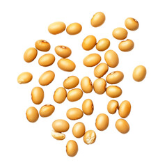 Wall Mural - Yellow soybeans scattered on a white surface