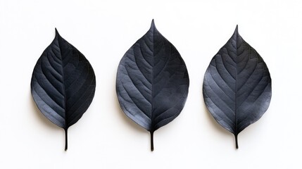 Wall Mural - Three Black Leaves