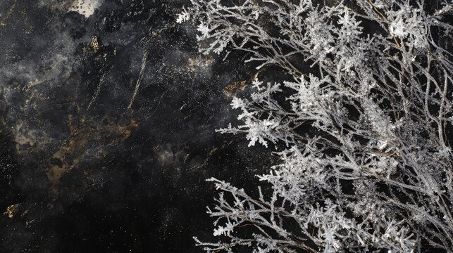 Abstract Christmas scene with icy snowflakes, frosted branches, and silver highlights over a dark background.