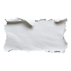 Canvas Print - torn paper with a soft texture on a flat surface