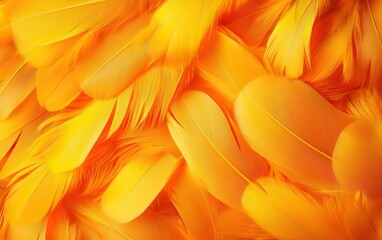 A vibrant close-up of bright orange feathers, showcasing intricate details and textures.