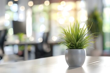 Poster - Modern Office Background with Green Plant