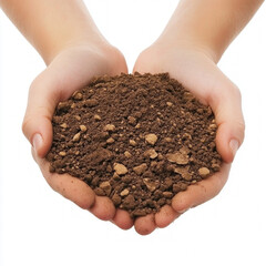 Canvas Print - Hands With Soil Isolated