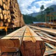 © Shamsiyya - A sustainable wood products company committed to sourcing timber from responsibly managed forests practicing sustainable forestry practices and promoting transparency and traceability -