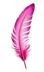 pink feather