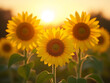 © fotoluigi868 - Three sunflowers bloomed in perfect synchrony with the radiant warmth of a summer morning