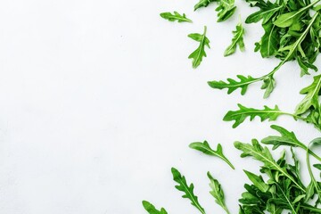 Poster - Fresh green arugula against a white backdrop viewed from above