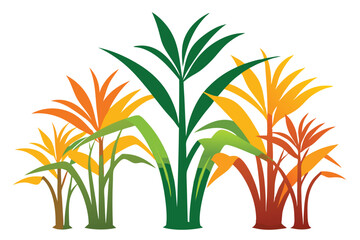 Sugar cane plant clean silhouette color vector F.eps