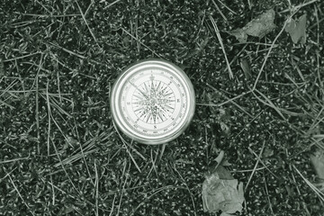 Wall Mural - classic navigation compass on natural background