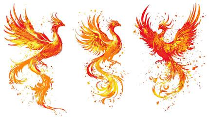 Poster - Set of Vibrant Phoenix Illustrations on a Transparent Background Generative AI